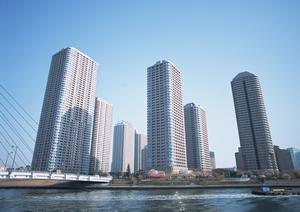 2025年最新！アクセントクロス導入で差がつく大阪のインテリア術